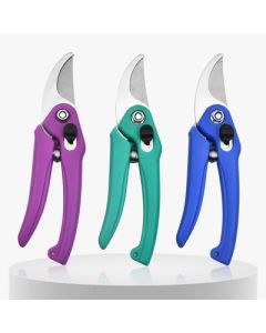 Iron scissors with shears for household