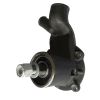 Water Pump 311781A1 For Massey Ferguson 