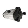 Hydraulic Tandem Pump 3597706M91 for Massey Ferguson