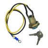 Ignition Switch 225310 with 2 Keys for Massey Ferguson for John Deere for Ford for New Holland