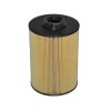 Fuel Filter Element 4715072 for Hitachi