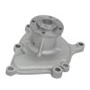 Water Pump 1874206 For Iseki For Bolens For Field Boss For Isuzu