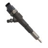 Diesel Engine Injector 0445110185 for Bosch