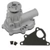 Water Pump With Gasket SBA145017790 For New Holland For Case For Shibaura