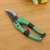 Small manual hand grape bypass pruning scissors secateurs plant cutting tools pruner shears