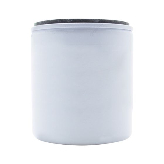 Fuel Filter 5009676 for Johnson