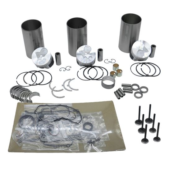 Rebuild Kit N843 For Kubota 