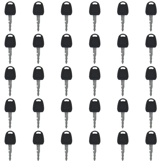 30Pcs K1009605 Keys for Terex 