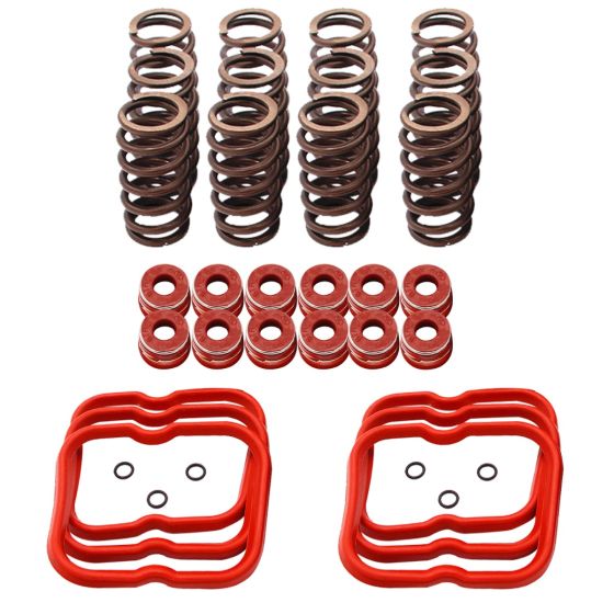  12V High RPM Valve Springs Gaskets 3916691 for Cummins 