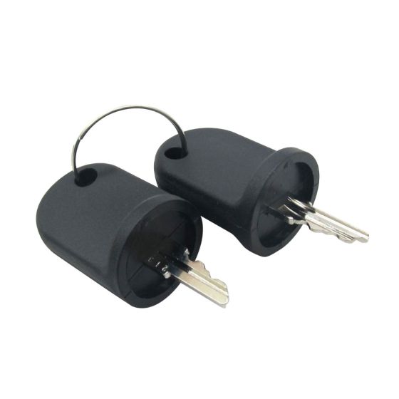 2PCS Ignition Switch Keys 611282 for EZGO